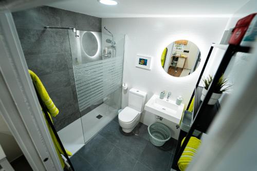 y baño con aseo, lavabo y ducha. en Precioso Loft cerca Málaga-Centro, La princesa, en Málaga