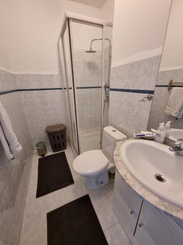 une salle de bain avec toilettes, lavabo et douche dans l'établissement Le Carla studio 2 personne, à Nice
