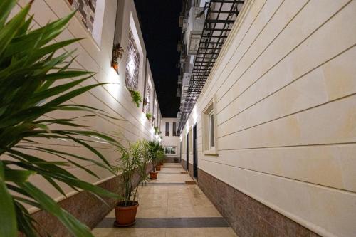 an empty hallway with potted plants on the side of a building at Marron Serviced Studios and Rooms in Cairo