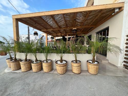 a row of plants in wicker pots in front of a building at Silver Beach Hotel in Kardamaina
