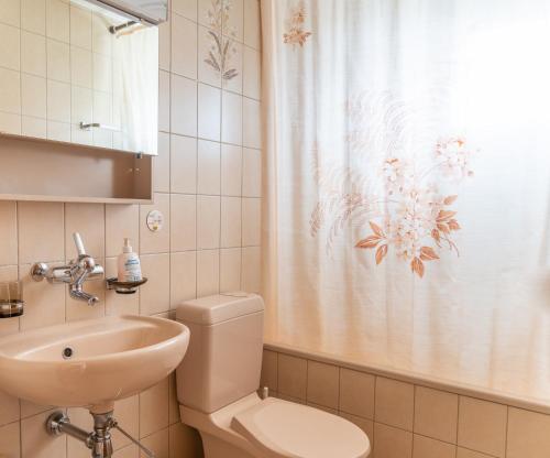 a bathroom with a toilet and a sink and a shower curtain at Pic Chaussy A2 in Les Mosses