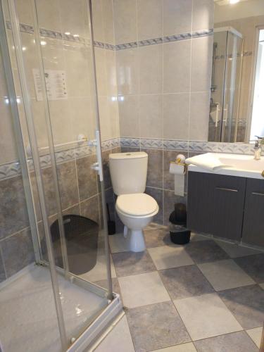a bathroom with a toilet and a sink at Le Castel d'olmes in Laroque-dʼOlmes