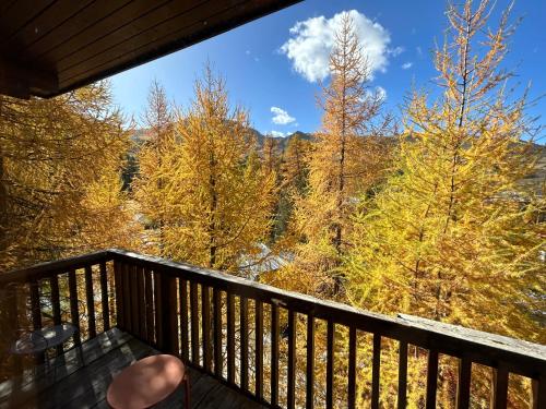 PARADIS LODGE, chalet altitude 2000m, Vue, Plagne Centre, 200m des pistes