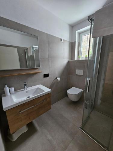 een badkamer met een wastafel, een douche en een toilet bij Horský apartmán MIKI in Filipovice