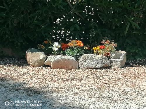 a garden with rocks and flowers in a yard at Oasi di Campagna in Modica