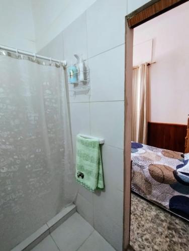 ein Bad mit Dusche und ein Bett in der Unterkunft Rincón Libertad 1 in Villa Mercedes