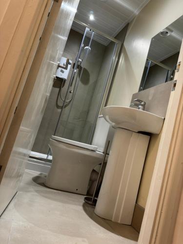 a bathroom with a shower and a toilet and a sink at Orionn Place in Nottingham