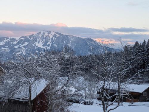 a snow covered mountain with a house and trees at Hotel Bergstätter Hof in Immenstadt im Allgäu
