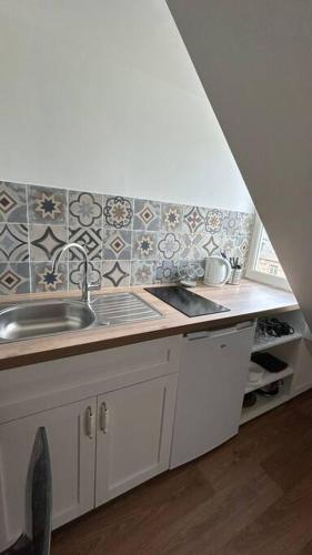 une cuisine avec un évier et un plan de travail dans l'établissement Le cocon, à Strasbourg