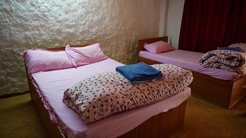 Mahānkāl的住宿－Sindhu Organic Agro And Farmstay，双床间设有2张单人床。