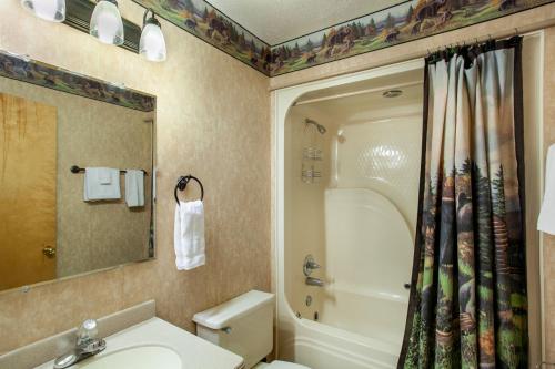 a bathroom with a toilet and a sink and a shower at Papa Bears Hideaway Stunning Views CommunityPOOL in Pigeon Forge