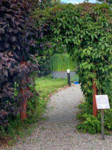 a garden with a hedge with a walkway at STF Växhuset Hostel in Bodarne