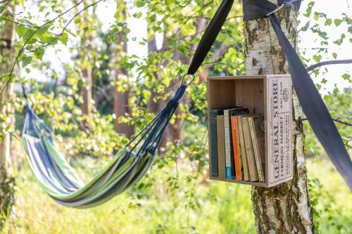 Κήπος έξω από το Stargazer Glamping UK Orion 4-Person