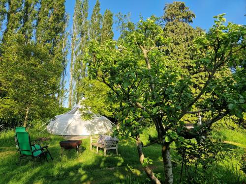 Κήπος έξω από το Stargazer Glamping UK Orion 4-Person