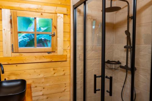 a bathroom with a shower and a window at Cabañas Finca Las Vegas in Arucas