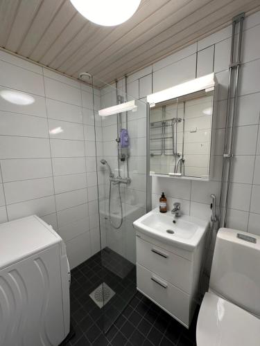 a bathroom with a shower and a sink and a toilet at Chic and Relaxing Studio in Hyvinkää