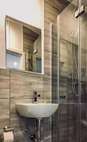 a bathroom with a sink and a glass shower at Ring Home Stay in Adenau