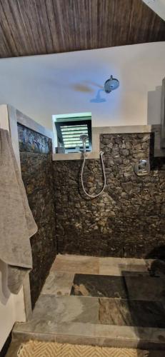 a bathroom with a shower with a stone wall at La VILLA BORAHA 300m2 PROPRIÉTÉ ENTIERE en bord de plage PISCINE PRIVEE Cuisine TV Wifi in Sainte Marie