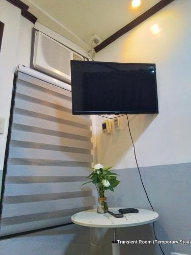 a television on top of a table with a plant on it at Parayno's Residence in Manila