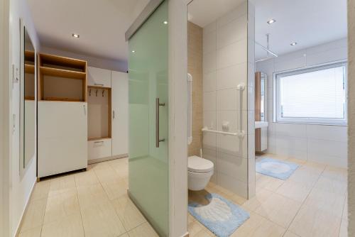 皮森多夫的住宿－Apartment Piesendorf，一间带卫生间和玻璃淋浴间的浴室
