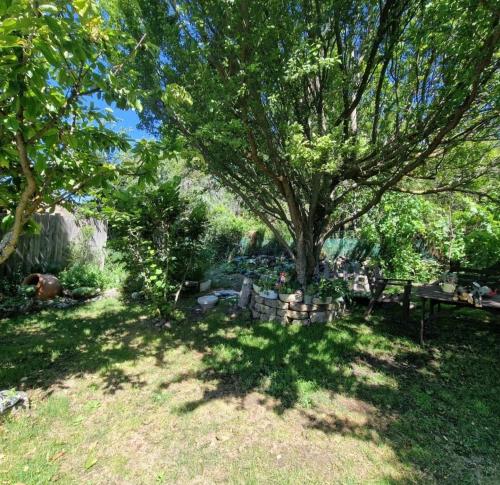 a tree in the middle of a yard with a bench at La Cabaña de Conquezuela in Conquezuela