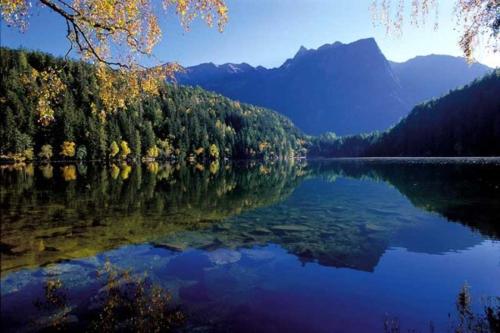 a view of a lake with trees and mountains at Villa22 Oetz in Oetz