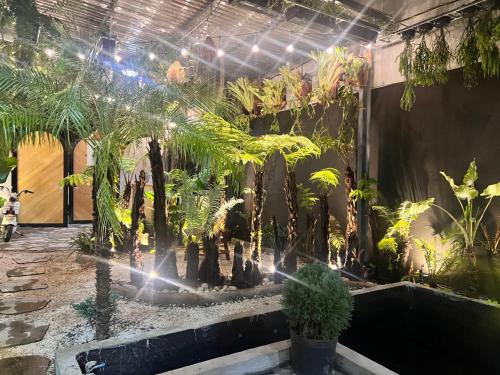 a room filled with lots of different types of plants at Kim Đồng homestay in Buôn Enao