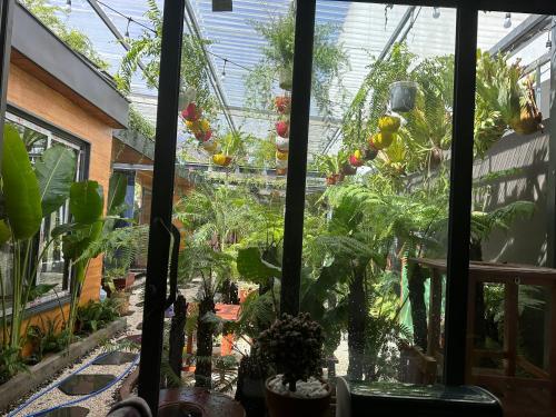 Kim Đồng homestay – Photos 4