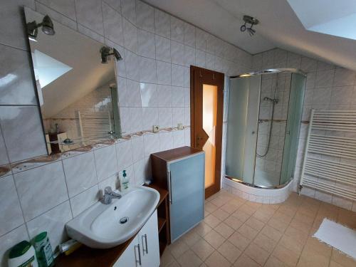 Jacovce的住宿－Apartman Daniela，一间带水槽和淋浴的浴室
