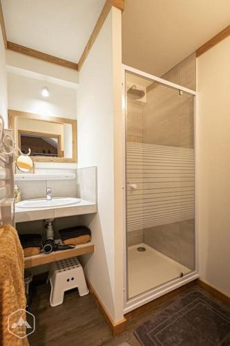une salle de bain avec une douche en verre et un lavabo dans l'établissement Côté-Bourget 4 pers Duplex LES FORTS proche La Norma Aussois, à Villarodin-Bourget