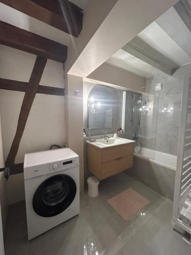 a bathroom with a washing machine and a sink at Colombages de la Lauch in Colmar