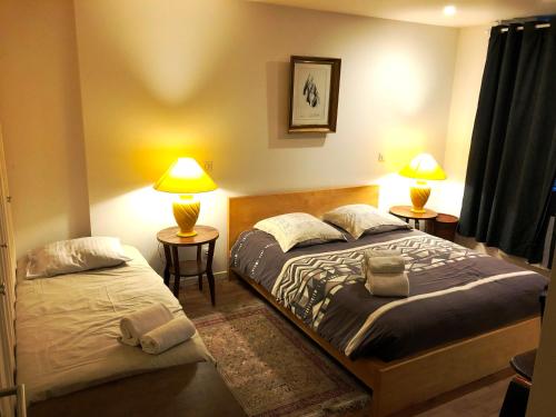 2 lits dans une chambre avec 2 lampes sur des tables dans l'établissement La Pépinière Victoria - Canal & Pépinière -50m2, à Nancy