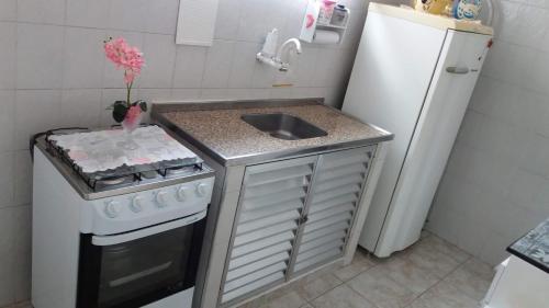 Una pequeña cocina con fregadero y estufa. en Apartamento Aconchego da vovó, en Peruíbe