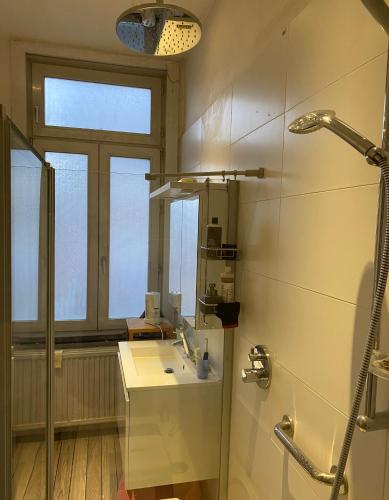 a bathroom with a sink and a shower and a mirror at Brussels Guesthouse - Private bedroom and bathroom in Brussels