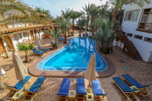 una vista sul soffitto di una piscina con sedie e ombrelloni di Acacia Dahab Hotel a Dahab