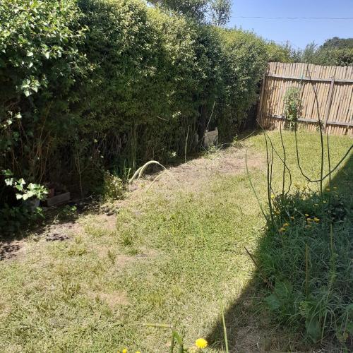 a yard with a fence and some grass at Las Aves in Mar del Plata
