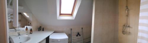 ein Bad mit einem WC, einem Waschbecken und einer Dusche in der Unterkunft Bienvenue chez Jocelyne in Honfleur