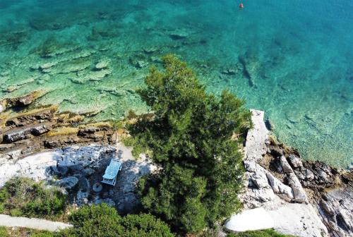 an aerial view of the ocean with a tree on a cliff at Holiday Home Villa Marela in Drvenik Veli