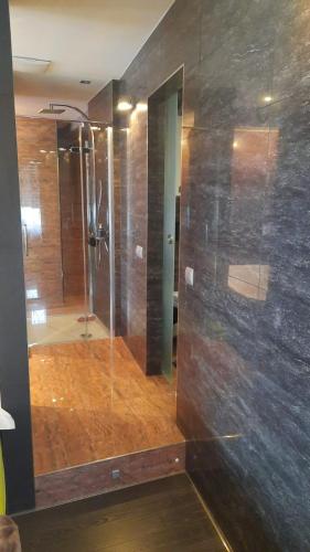 uma casa de banho com um chuveiro e uma porta de vidro em Modern Art Apartment im Zentrum Weiden em Weiden