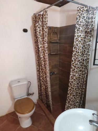 e bagno con doccia, servizi igienici e lavandino. di Casa Cueva Manuel y María a El Juncal
