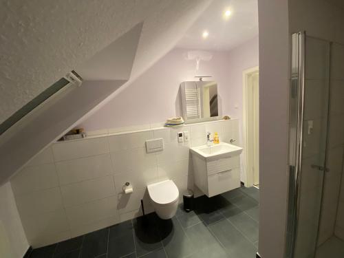 a bathroom with a white toilet and a sink at Zimmer am Bachlauf in Gelsenkirchen