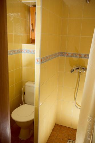 a bathroom with a toilet and a shower at Dovolenkovy Dom Jople in Podhájska