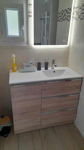 une salle de bain avec un lavabo et un miroir dans l'établissement Résidence Gavarnie appart RDC, à Gèdre