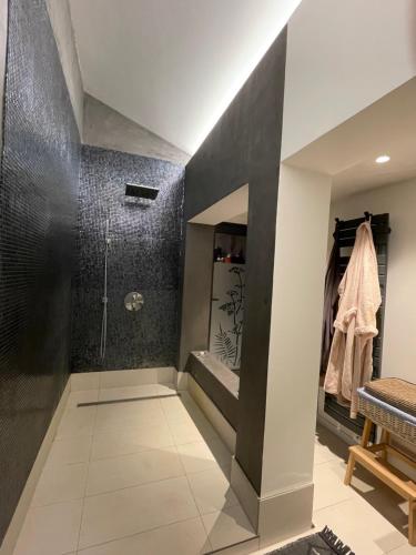 uma casa de banho com uma cabina de duche ao nível do chão ao lado de uma cabina de duche ao nível do chão em Villa Victorine em Nogent-sur-Marne