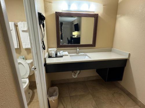a bathroom with a sink and a toilet and a mirror at Rodeway Inn in Bushnell