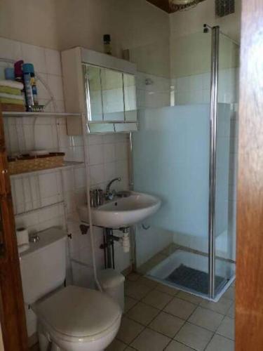 une salle de bain avec toilettes, lavabo et douche dans l'établissement Maison au vert à la campagne - 5 personnes, à Saint-Nectaire