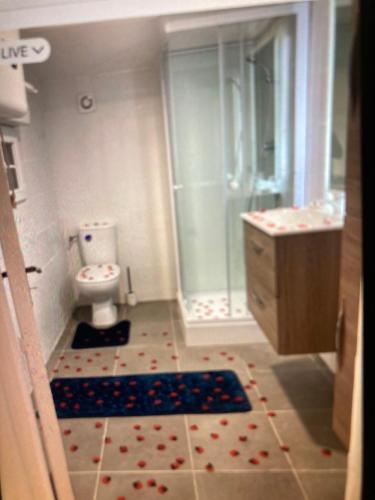 a bathroom with a shower and a toilet and a sink at La nuit glamour in Herblay