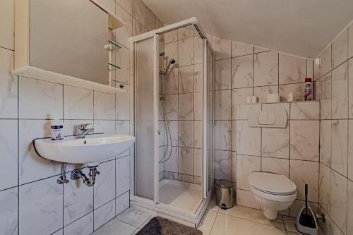 a bathroom with a shower and a toilet and a sink at Apartment Kesten in Janjina