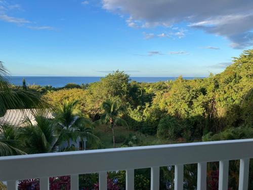 a view of the ocean from a balcony at Pacific View Condominium in Playa Azul in Playa Azul