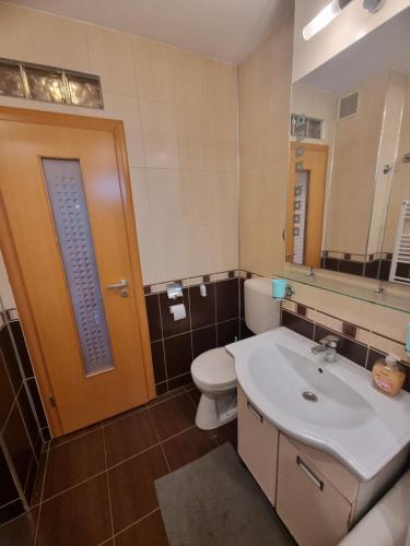 a bathroom with a toilet and a sink and a mirror at Nice & Relaxing Central Apartment in Baia Mare